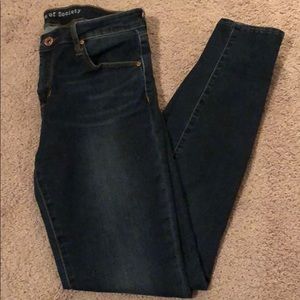 Articles of Society skinny jeans